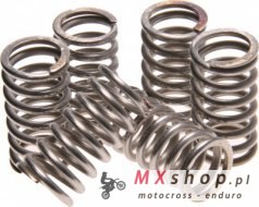 TRW ZF SPRĘŻYNY SPRZĘGŁOWE KTM EXC-LC4 400 93-95, HONDA VF750 82-84, YAMAHA XV 500 83-84, (5 SZT.) (EBS077)