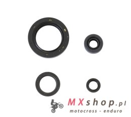 ATHENA KOMPLET (ZESTAW) USZCZELNIACZY SILNIKOWYCH HONDA CA 125 REBEL '95-'00, CM 125 '78-'86, CB 125T '78-'86