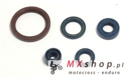 ATHENA KOMPLET (ZESTAW) USZCZELNIACZY SILNIKOWYCH HUSQVARNA TE 250 03-09, TE 310 09-10, TE 450/510 03-10, TC 250/310/450