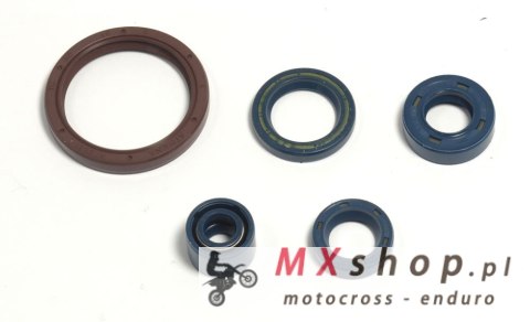 ATHENA KOMPLET (ZESTAW) USZCZELNIACZY SILNIKOWYCH HUSQVARNA TE 250 03-09, TE 310 09-10, TE 450/510 03-10, TC 250/310/450