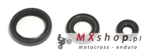 ATHENA KOMPLET (ZESTAW) USZCZELNIACZY SILNIKOWYCH HUSQVARNA TE/TC 250 10-14, TE/TXC 310 11-14