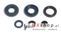 ATHENA KOMPLET (ZESTAW) USZCZELNIACZY SILNIKOWYCH KAWASAKI KX 60 85-03