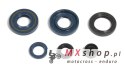 ATHENA KOMPLET (ZESTAW) USZCZELNIACZY SILNIKOWYCH KAWASAKI KX 60 85-03