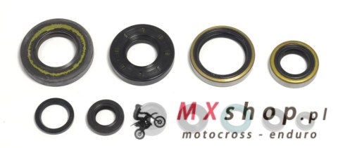 ATHENA KOMPLET (ZESTAW) USZCZELNIACZY SLINIKOWYCH KAWASAKI KX 250 '95-'04