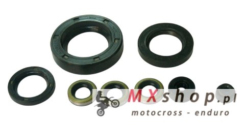 TOURMAX KOMPLET (ZESTAW) USZCZELNIACZY SILNIKOWYCH KAWASAKI Z 900 '73-'76, Z1000 A,B,H,MK2,P,ST '77-'80 (MADE IN JAPAN)