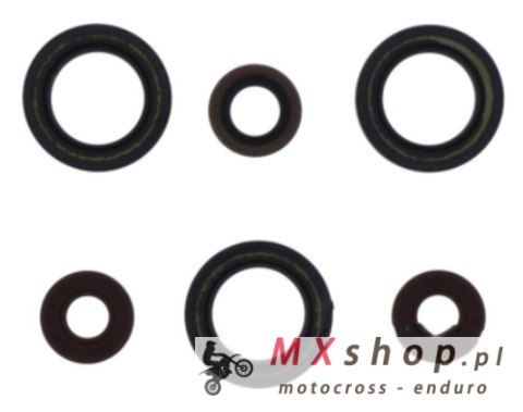 ATHENA KOMPLET (ZESTAW) USZCZELNIACZY SILNIKOWYCH SHERCO SE-R 125 18-21