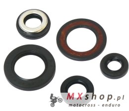 TOURMAX KOMPLET (ZESTAW) USZCZELNIACZY SILNIKOWYCH YAMAHA SZR 660 '95-97, XT 600E '96-99 (MADE IN JAPAN)