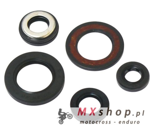 TOURMAX KOMPLET (ZESTAW) USZCZELNIACZY SILNIKOWYCH YAMAHA SZR 660 '95-97, XT 600E '96-99 (MADE IN JAPAN)