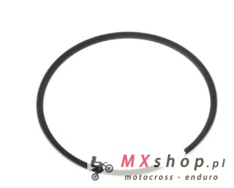 WOSSNER PIERŚCIEŃ (2T) 1 SZT.(56,25x2,3mm)