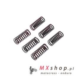 TRW ZF SPRĘŻYNY SPRZĘGŁOWE DUCATI MONSTER 620 / 696 / 800 05-14, SCRAMBLER 800 15-,