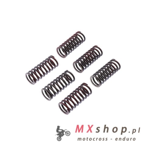 TRW ZF SPRĘŻYNY SPRZĘGŁOWE DUCATI MONSTER 620 / 696 / 800 05-14, SCRAMBLER 800 15-,