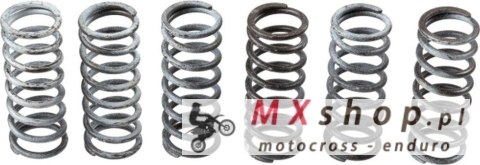 TRW ZF SPRĘŻYNY SPRZĘGŁOWE SUZUKI DL 650 04-16, GLADIUS 650 09-16, SV 650 03-10/16-, (EBS133)