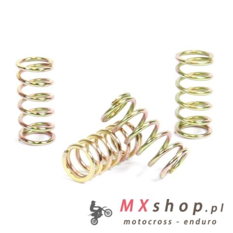 PROX SPRĘŻYNY SPRZĘGŁOWE KAWASAKI KX 125 '94-02 (EBS065)