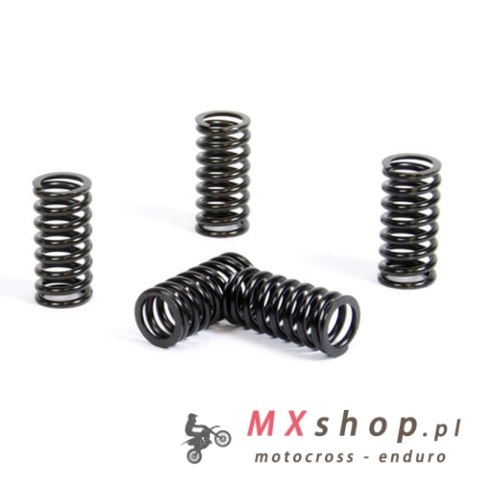 PROX SPRĘŻYNY SPRZĘGŁOWE SUZUKI RM 125 '01-11 (EBS091)
