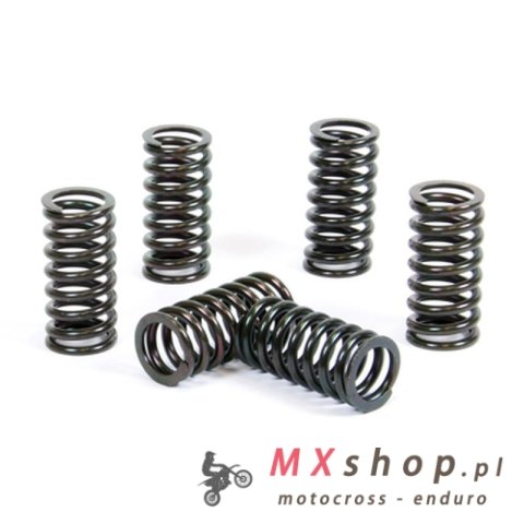 PROX SPRĘŻYNY SPRZĘGŁOWE SUZUKI RM 250 '98-05 (EBS091)