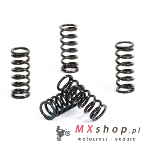 PROX SPRĘŻYNY SPRZĘGŁOWE YAMAHA YFS 200 BLASTER '88-06 (EBS042)