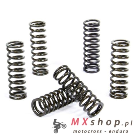 PROX SPRĘŻYNY SPRZĘGŁOWE YAMAHA YFZ 450 '04-06 (SK-254)