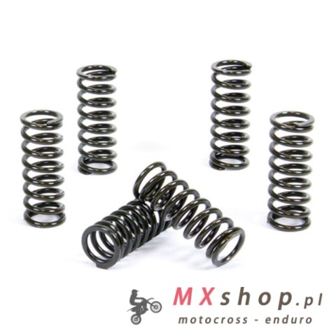 PROX SPRĘŻYNY SPRZĘGŁOWE YAMAHA YFZ 450 '07-09, YFZ 450R '09-13 (EBS058)