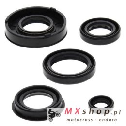 WINDEROSA (VERTEX) KOMPLET (ZESTAW) USZCZELNIACZY SILNIKOWYCH ARCTIC CAT 50 Y-6 04-05, 90 2-STROKE 02-04, 90 UTILITY 2X4 06, CAN