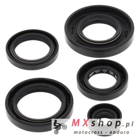 WINDEROSA (VERTEX) KOMPLET (ZESTAW) USZCZELNIACZY SILNIKOWYCH ARCTIC CAT 650 4X4 H1 07-11, 650 H1 LTD 05-07, 650 H1 MUDPRO 10-11