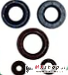 WINDEROSA (VERTEX) KOMPLET (ZESTAW) USZCZELNIACZY SILNIKOWYCH CAN-AM OUTLANDER DPS 450 EFI 15-20, OUTLANDER MAX DPS 450 EFI 15-2