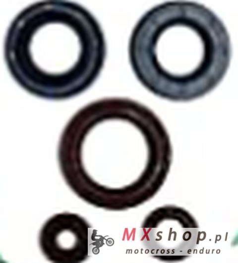 WINDEROSA (VERTEX) KOMPLET (ZESTAW) USZCZELNIACZY SILNIKOWYCH CAN-AM OUTLANDER DPS 450 EFI 15-20, OUTLANDER MAX DPS 450 EFI 15-2