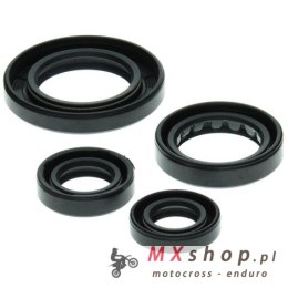 WINDEROSA (VERTEX) KOMPLET (ZESTAW) USZCZELNIACZY SILNIKOWYCH HONDA TRX250 RECON 97-01