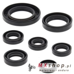 WINDEROSA (VERTEX) KOMPLET (ZESTAW) USZCZELNIACZY SILNIKOWYCH HONDA TRX250TE RECON 02-21, TRX250TM RECON 02-21, TRX250X / EX SPO