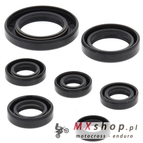 WINDEROSA (VERTEX) KOMPLET (ZESTAW) USZCZELNIACZY SILNIKOWYCH HONDA TRX250TE RECON 02-21, TRX250TM RECON 02-21, TRX250X / EX SPO