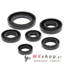 WINDEROSA (VERTEX) KOMPLET (ZESTAW) USZCZELNIACZY SILNIKOWYCH HONDA TRX300 EX 93-08, TRX300 X 09