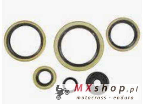 WINDEROSA (VERTEX) KOMPLET (ZESTAW) USZCZELNIACZY SILNIKOWYCH KTM EXC 300 94-03, EXC 360 96-97, EXC 380 98-02, MXC 300 94-03, MX