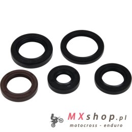 WINDEROSA (VERTEX) KOMPLET (ZESTAW) USZCZELNIACZY SILNIKOWYCH POLARIS PHOENIX 200 05-21, RZR 170 09-20, SAWTOOTH 200 06-07