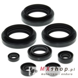 WINDEROSA (VERTEX) KOMPLET (ZESTAW) USZCZELNIACZY SILNIKOWYCH SUZUKI LT-F300F KING QUAD 99-02, LT-F4WDX KING QUAD 300 91-98