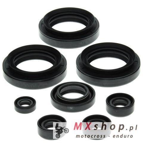 WINDEROSA (VERTEX) KOMPLET (ZESTAW) USZCZELNIACZY SILNIKOWYCH SUZUKI LT-F300F KING QUAD 99-02, LT-F4WDX KING QUAD 300 91-98