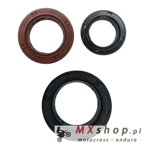 ARIETE KOMPLET USZCZELNIACZY SILNIKOWYCH KYMCO AGILITY 300