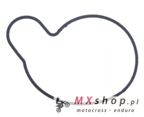 ATHENA USZCZELKA OBUDOWY POMPY WODY SUZUKI VX 800 '90-'97, VL 800 '05-'17