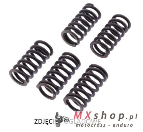 TRW ZF SPRĘŻYNY SPRZĘGŁOWE KAWASAKI KX 125 '03-'08, KX 250F '04-,