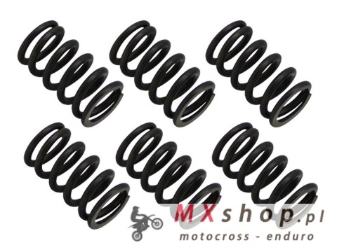 BRONCO SPRĘŻYNY SPRZĘGŁOWE HONDA ATC 250ES/SX, ATC 350X '85-'87, TRX 200D '91-'97, TRX 250X FOURTRAX '87-'92, TRX 300EX '93-'08,