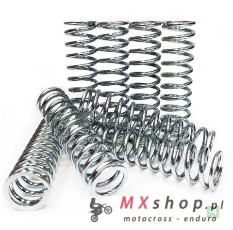 NEWFREN SPRĘŻYNY SPRZĘGŁOWE HUSQVARNA TE 250 '11-'12, KTM EXC 250/300 '05-'12, EXC 250/300 SIX DAYS (2T) '05-'12, SX 250 '05-'12
