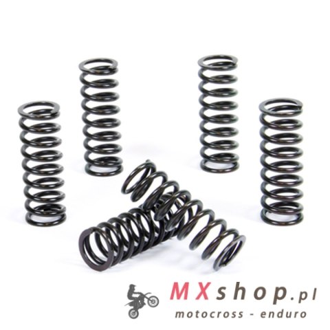 PROX SPRĘŻYNY SPRZĘGŁOWE SUZUKI RM 250 '06-'12; LT-R 450 '06-'11 (LTR)