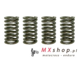 PSYCHIC SPRĘŻYNY SPRZĘGŁOWE KAWASAKI KX 250 '92-'07 (EBS007)