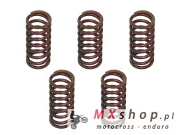 PSYCHIC SPRĘŻYNY SPRZĘGŁOWE KAWASAKI KXF 450 '12-'21 (EBS029)