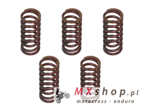 PSYCHIC SPRĘŻYNY SPRZĘGŁOWE KAWASAKI KXF 450 '12-'21 (EBS029)