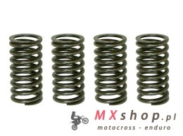 PSYCHIC SPRĘŻYNY SPRZĘGŁOWE KAWASAKI KDX 200 '05-'06, HONDA NX 250R '88-'90 (EBS030)