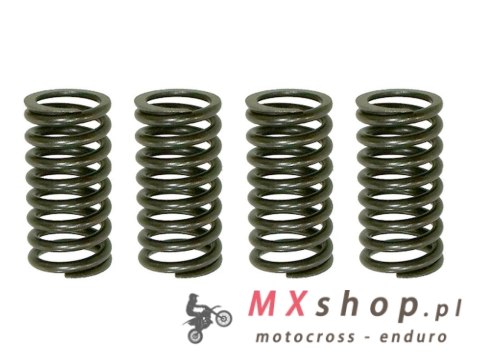 PSYCHIC SPRĘŻYNY SPRZĘGŁOWE KAWASAKI KDX 200 '05-'06, HONDA NX 250R '88-'90 (EBS030)