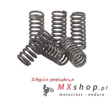 PSYCHIC SPRĘŻYNY SPRZĘGŁOWE KAWASAKI KLX 450R '08-'12, KX 450F '06-'11