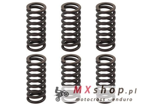 PSYCHIC SPRĘŻYNY SPRZĘGŁOWE KTM EXC 250 RACING '02-'05, EXC-F 250 '03-'04, EXC 400 '01-'07, SX/MXC '00-'02, EXC/MXC/SMR/SX 450/5