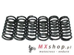 PSYCHIC SPRĘŻYNY SPRZĘGŁOWE KTM EXC/XC-W SIXDAYS 530 '10-'11, EXC-R/WCR-W 530 '08, (EBS140)