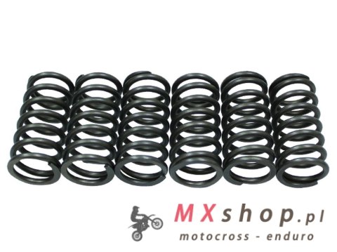 PSYCHIC SPRĘŻYNY SPRZĘGŁOWE KTM EXC/XC-W SIXDAYS 530 '10-'11, EXC-R/WCR-W 530 '08, (EBS140)