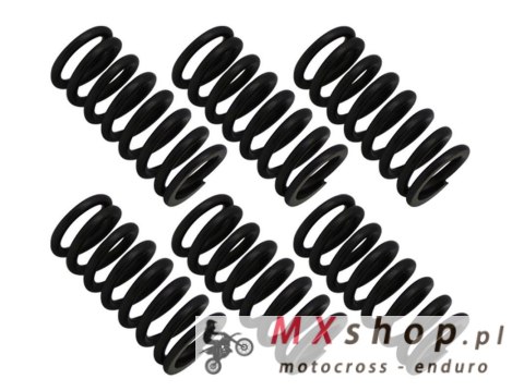 PSYCHIC SPRĘŻYNY SPRZĘGŁOWE KTM EGS 250 '94-'99, EXC 250 '94-'05, MXC 250 '98-'99, SX 250 '94-'12, XC/XC-W 250 '06-'12, EGS 300 